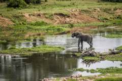 Jacana-River-Lodge-Views-10