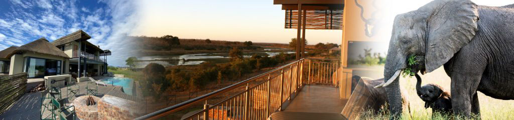 Homepage Banner - Game Lodges in Mpumalanga - Jacana Lodge